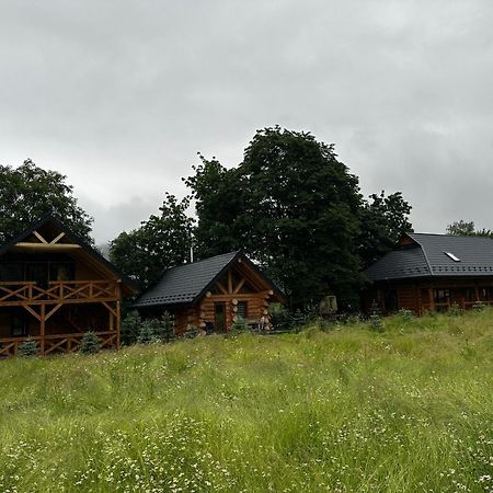 Chalet Pidstromom Mykulychyn Bagian luar foto