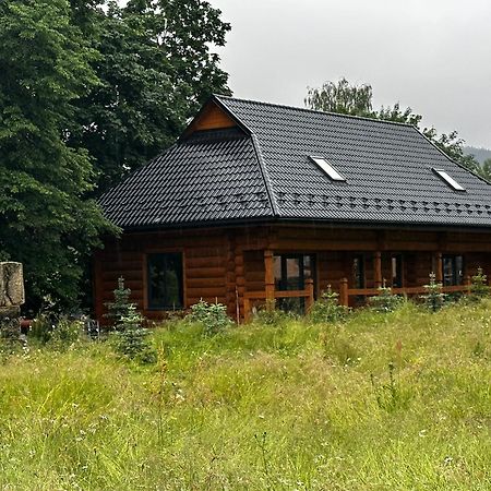 Chalet Pidstromom Mykulychyn Bagian luar foto