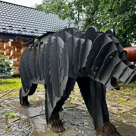 Chalet Pidstromom Mykulychyn Bagian luar foto