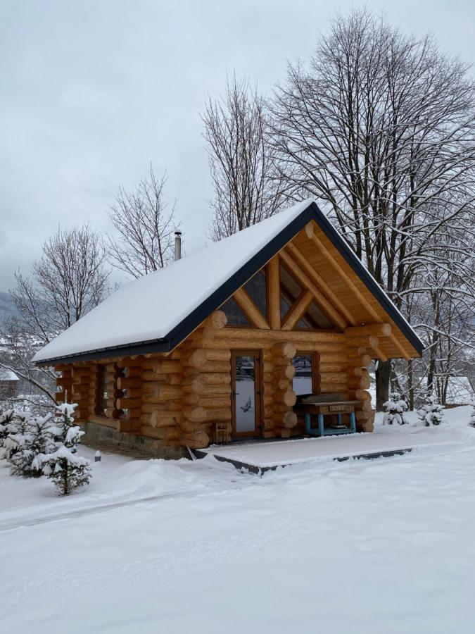 Chalet Pidstromom Mykulychyn Bagian luar foto
