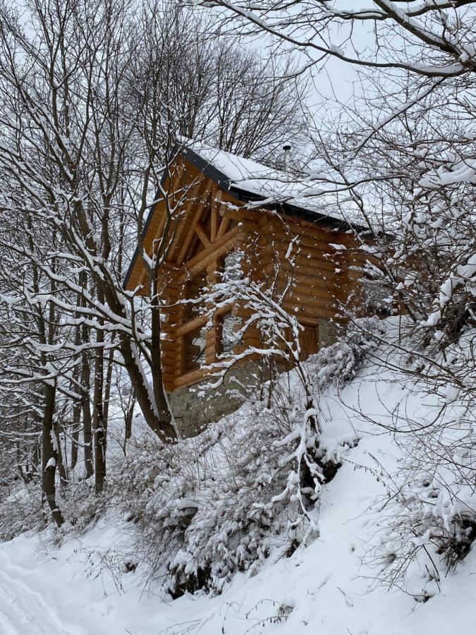 Chalet Pidstromom Mykulychyn Bagian luar foto