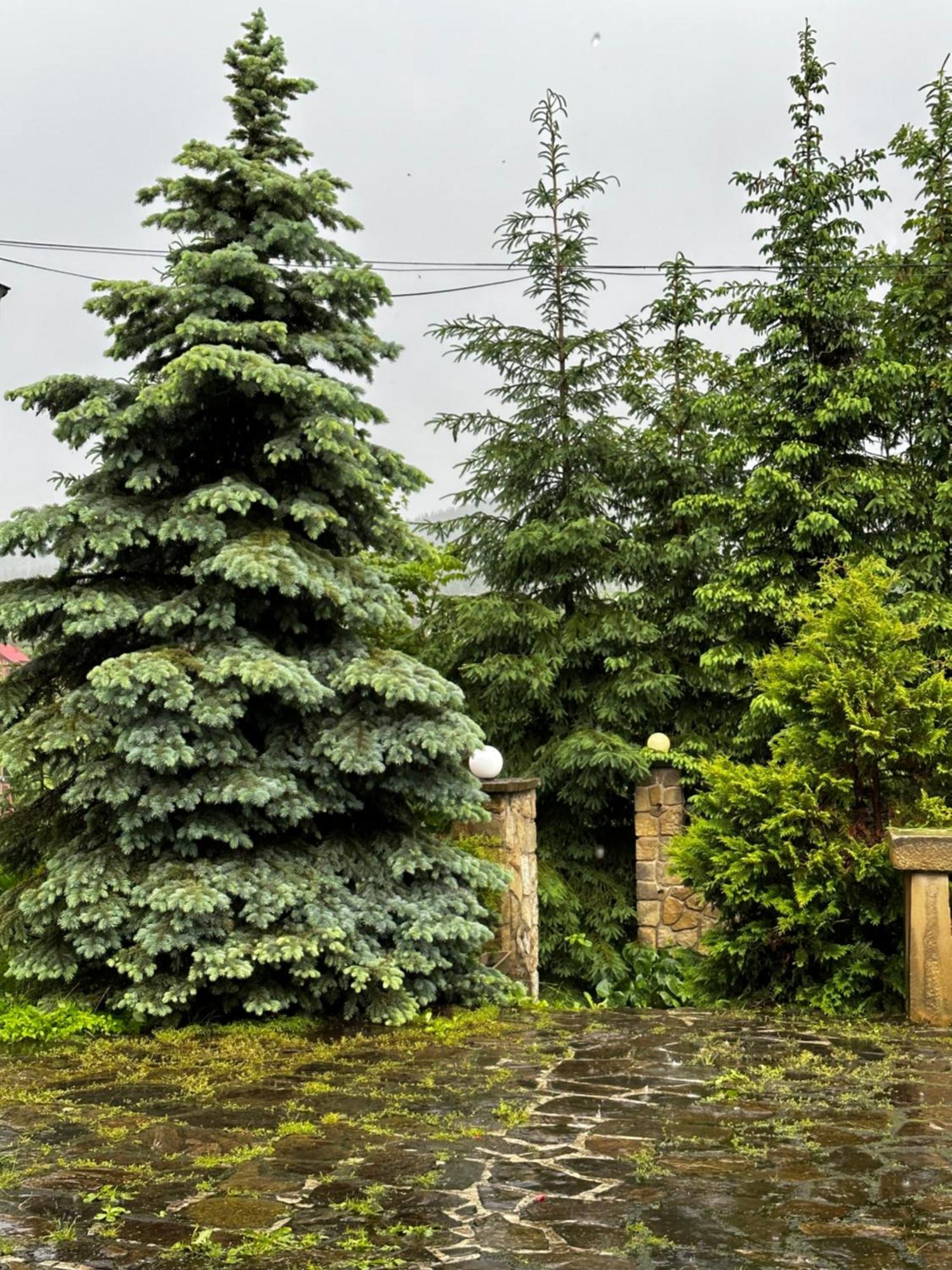 Chalet Pidstromom Mykulychyn Bagian luar foto