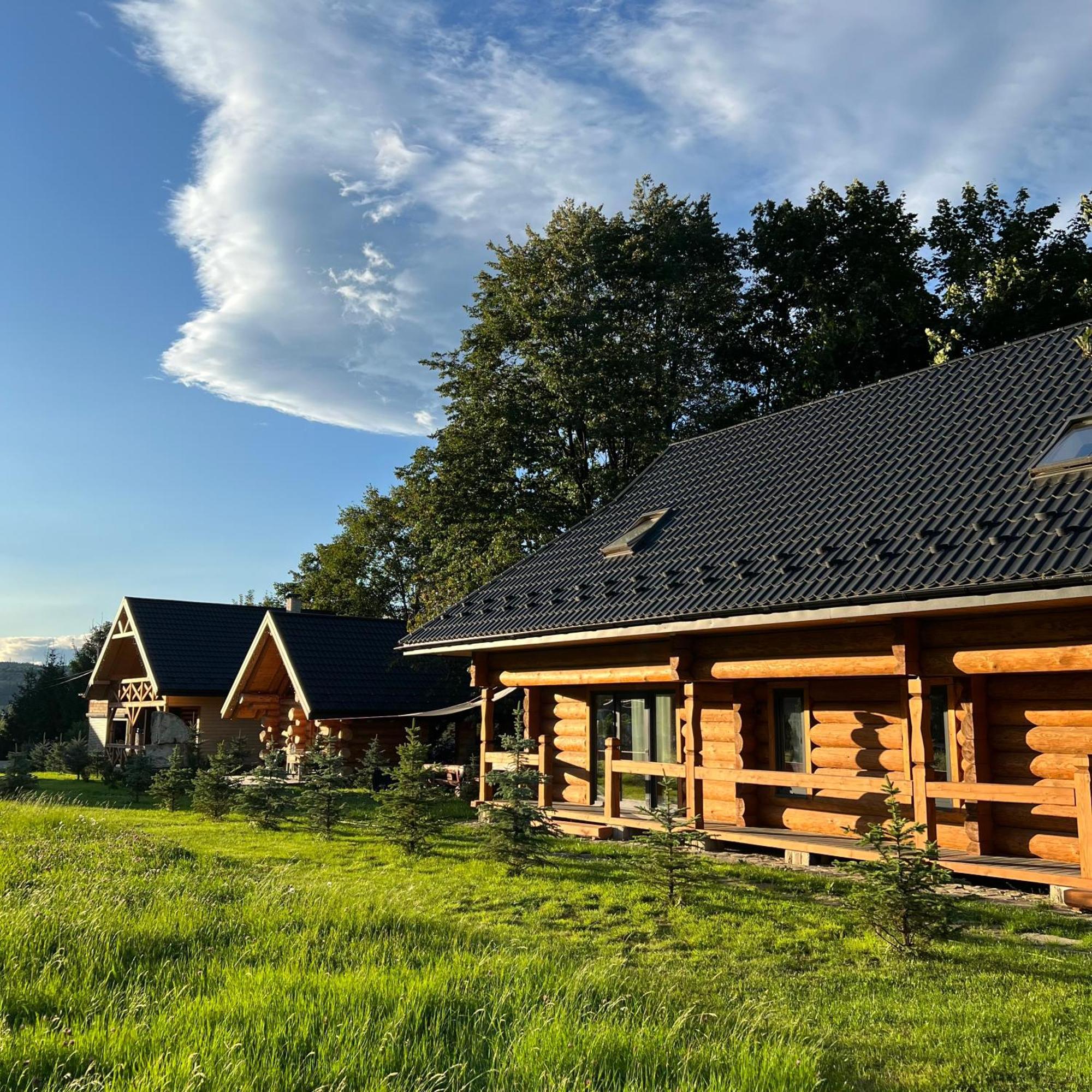Chalet Pidstromom Mykulychyn Bagian luar foto